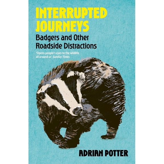 Interrupted Journeys: Badgers and Other Roadside Distractions, (Paperback)