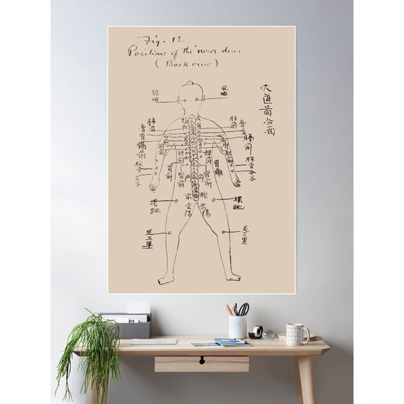 Interstate Medical Journal-Back Acupuncture Point Poster Wall Art, Modern Wall Decor For Living Room Bedroom, 8x12 UNFRAMED