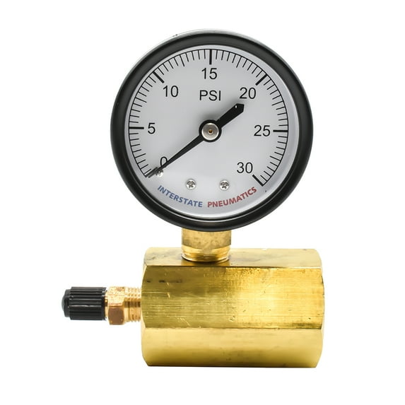 Interstate Pneumatics G2012-030GT 2 Inch 30 PSI - 1/4 Inch NPT Bottom Mount 3/4 Inch FNPT Test Pressure Gauge with Tire Valve Fitting
