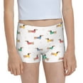 Easygdp Dachshund Dog Puppy Girls Hipster Cotton Underwear Little Girls