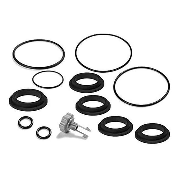 Intex Sand, Black Multiple sizes, Plumbing O-Rings & Seals Kit 12-Piece