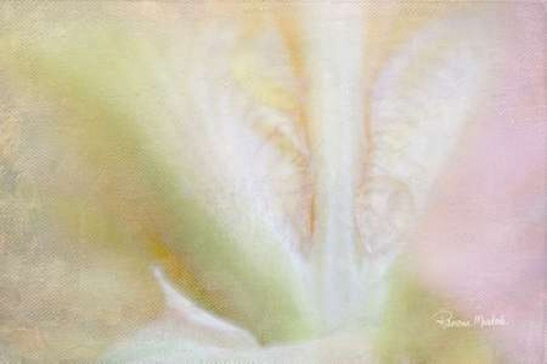 Intimate with Iris Canvas Art - Ramona Murdock (12 x 18)