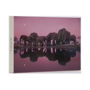 Into Africa Blank Boxed Notecards Paperback