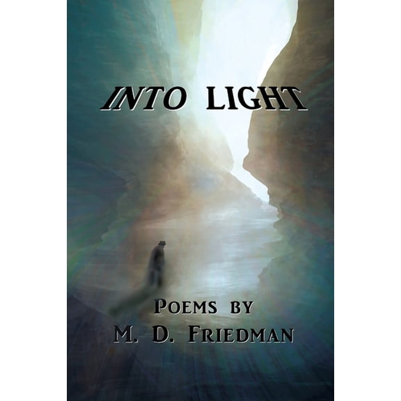 Into Light: Poems by M. D. Friedman (Paperback)