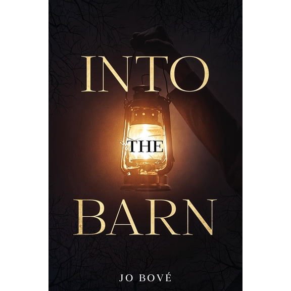 Into The Barn (Paperback) by Jo Bov