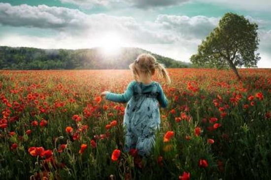 Into The Poppies Canvas Art - John Wilhelm (12 x 18)