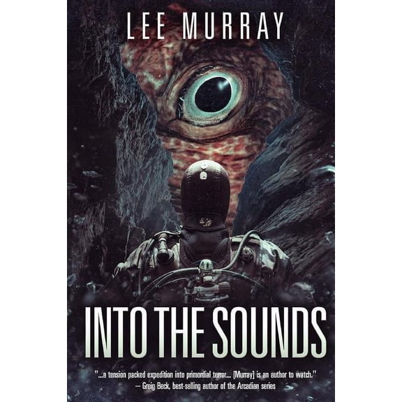 Into The Sounds (Paperback)