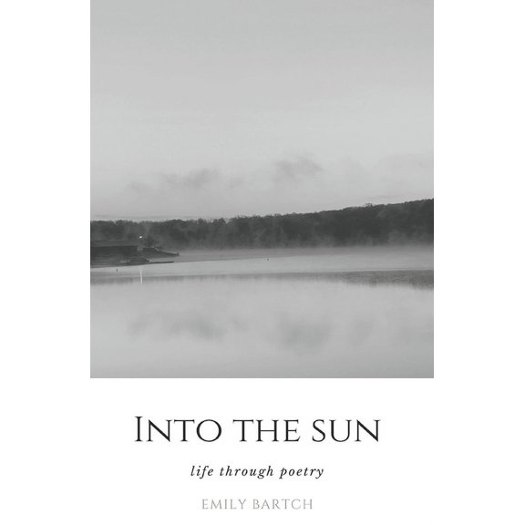 Into The Sun : Life Through Poetry (Paperback)