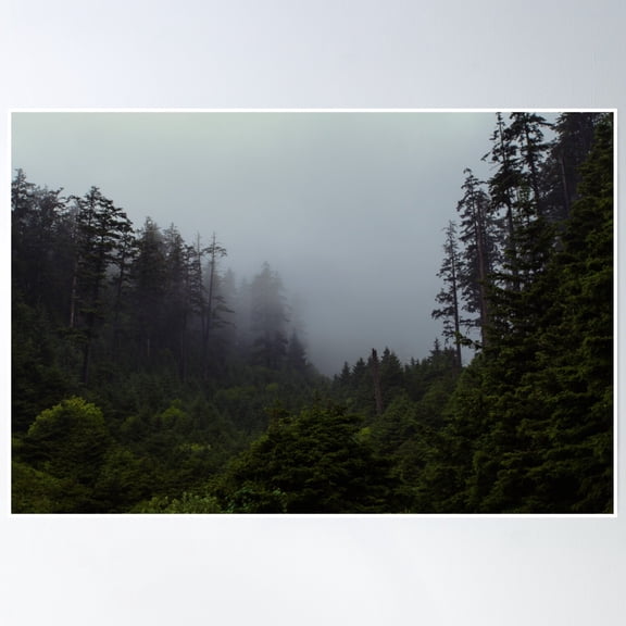 Into The Wild Poster Wall Art, Modern Wall Decor, 8x12 UNFRAMED