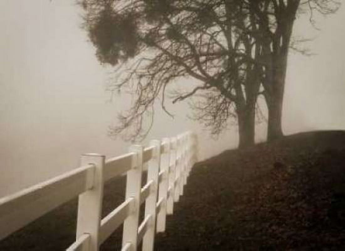 Into the Fog Canvas Art - Vitaly Geyman (18 x 24)