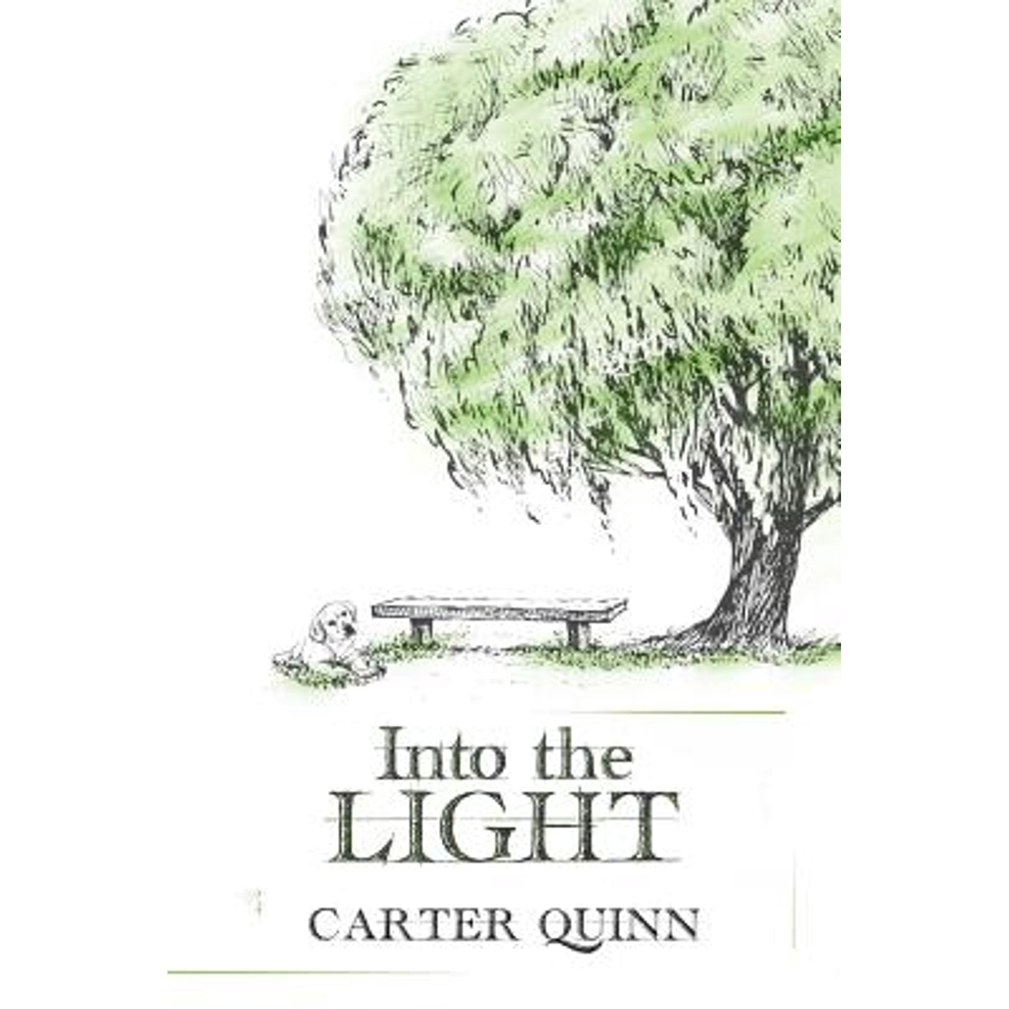 Into the Light (Paperback) by Carter Quinn