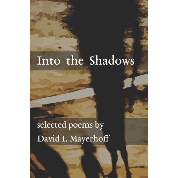 Into the Shadows Paperback 1077983212 9781077983212 David I Mayerhoff