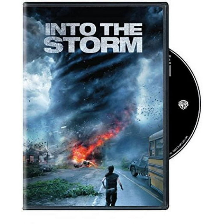 Into the Storm - Walmart.com