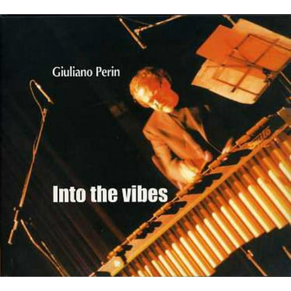 Into the Vibes (CD)
