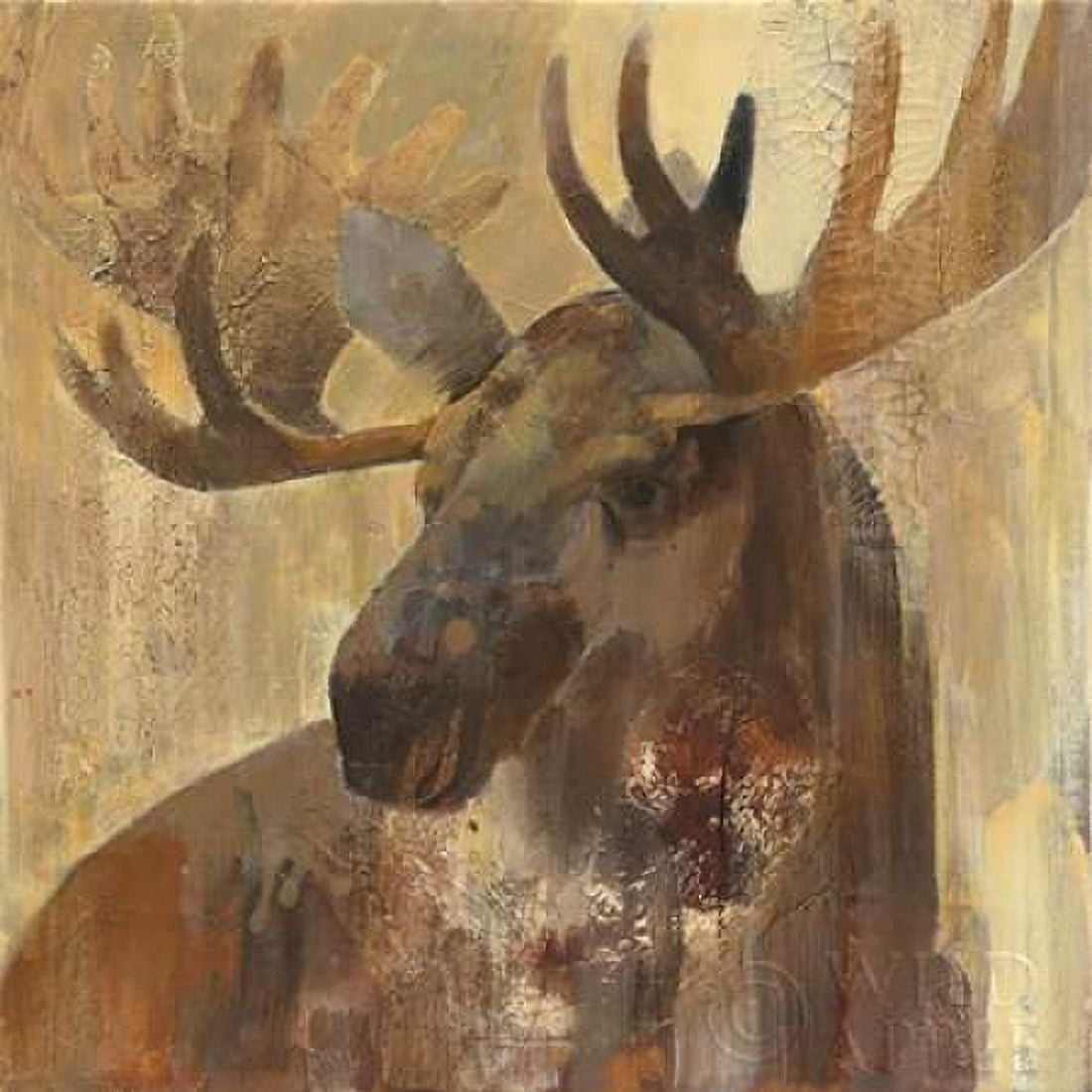 Into the Wild II Canvas Art - Albena Hristova (24 x 24)