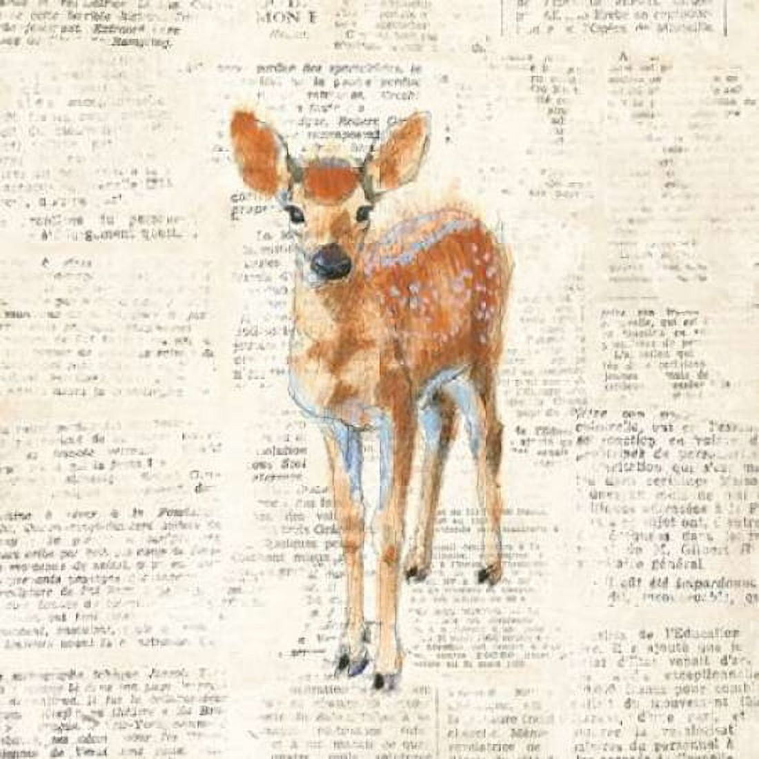 Into the Woods III no Border Canvas Art - Emily Adams (24 x 24)