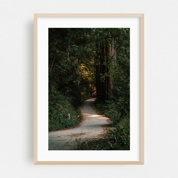 Into the Woods - Santa Cruz California Photography Forest Nature Woodland Scenic Wilderness Moody Oak Framed Wall Art Print 5 x 7 inches