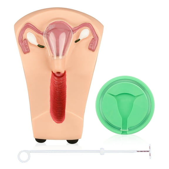 Intrauterine Device Training Kit