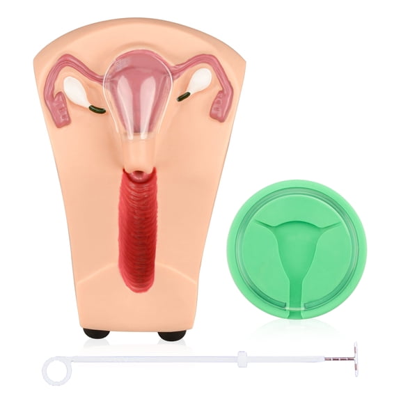 Intrauterine Device Training Kit