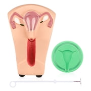 Intrauterine Device Training Kit