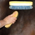 thumbnail image 1 of Intrepid 153502 Pig Bristle Horse Body Brush, 1 of 1
