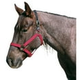 thumbnail image 1 of Intrepid International 123032 Polyster Breakaway Large Horse Halter, Hunter Green - Large, 1 of 1