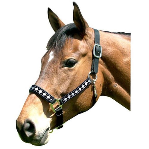 Intrepid International 126005SV Leather Large Crown Diamond Padded Nose Halter, Black & Silver