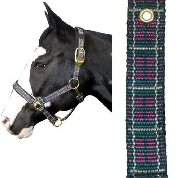Intrepid International 128001HM Plaid Nylon Padded Horse Halter with Solid Brass Hardware, Hunter Green & Burgundy