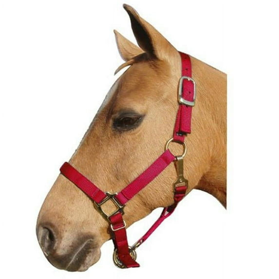 Intrepid International 1ZAS35RD Nylon Horse Halter, Yearling - Red