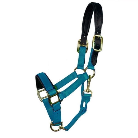 Intrepid International Chafeless Breakaway Halter Padded Crown and Nose Pony 3-5-Yearling