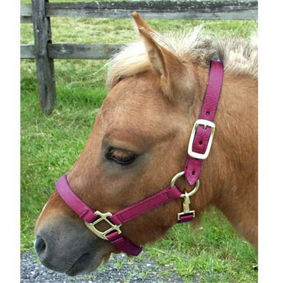 Intrepid International H325NMN Mini Nylon Miniature Horse Halter, Burgundy