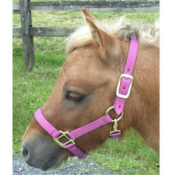 Intrepid International H325NPK Mini Nylon Miniature Horse Halter Pink