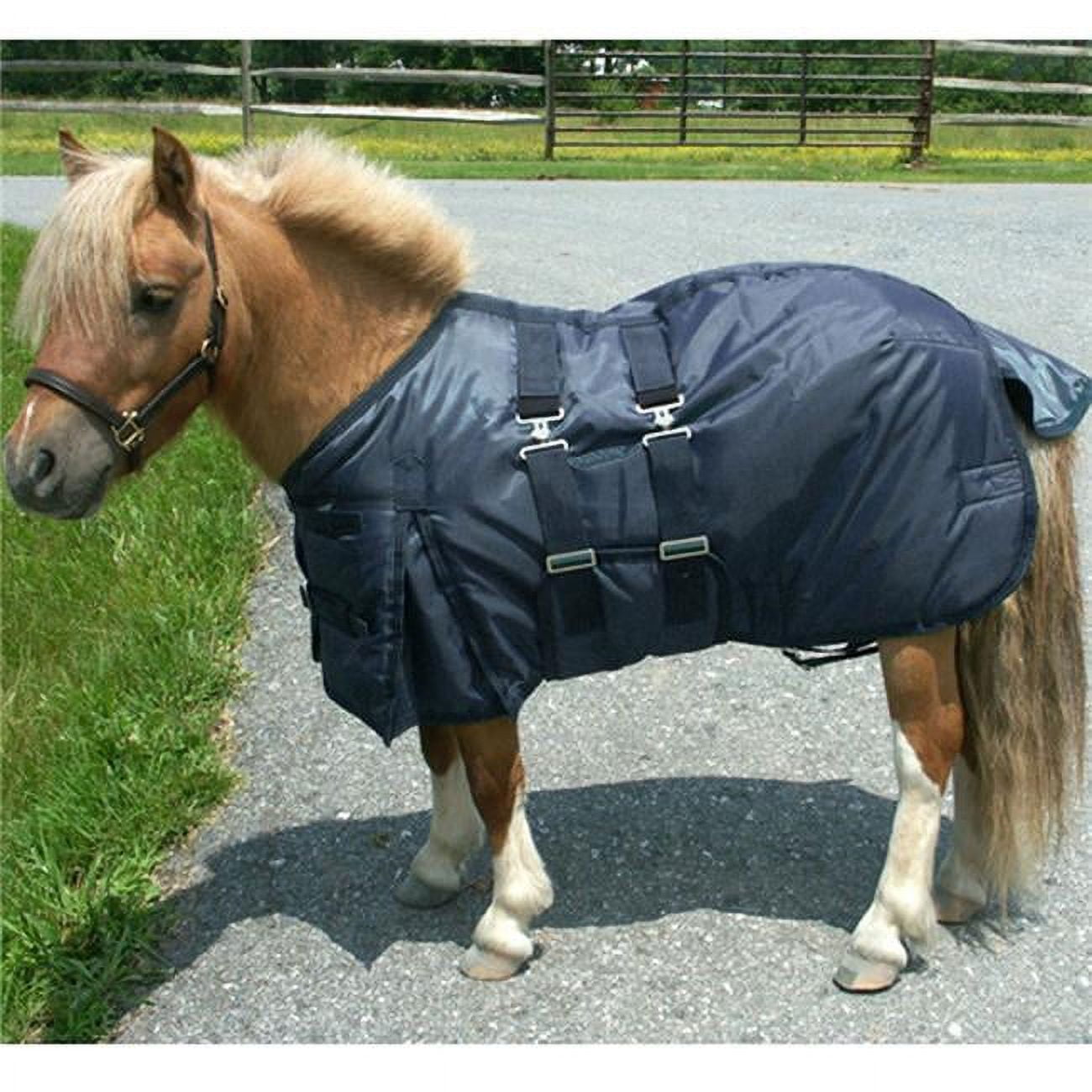 Intrepid International MB38NY Mini Horse Turnout Blanket, Navy Size 38