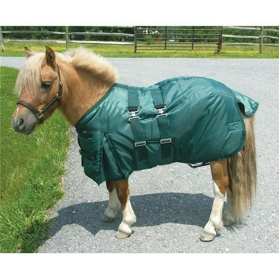 Intrepid International MB45GN Mini Horse Turnout Blanket, Hunter Green - Size 45