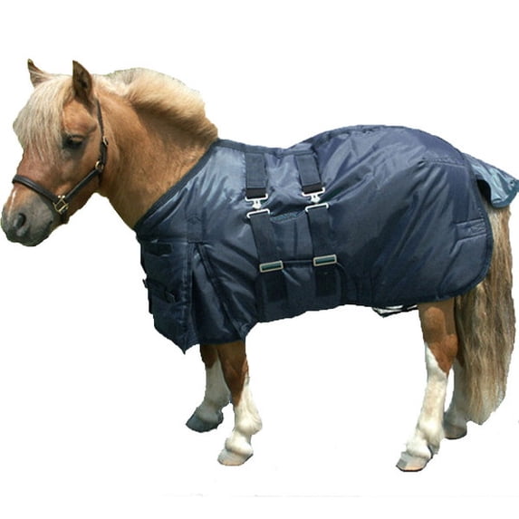 Intrepid International Mini Medium Weight Turnout Blanket Hunter Green-48" Navy