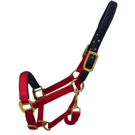 Intrepid International TH43NO Large Breakaway Halter Padded Crown & Nose, 11 to 16 - Neon Orange