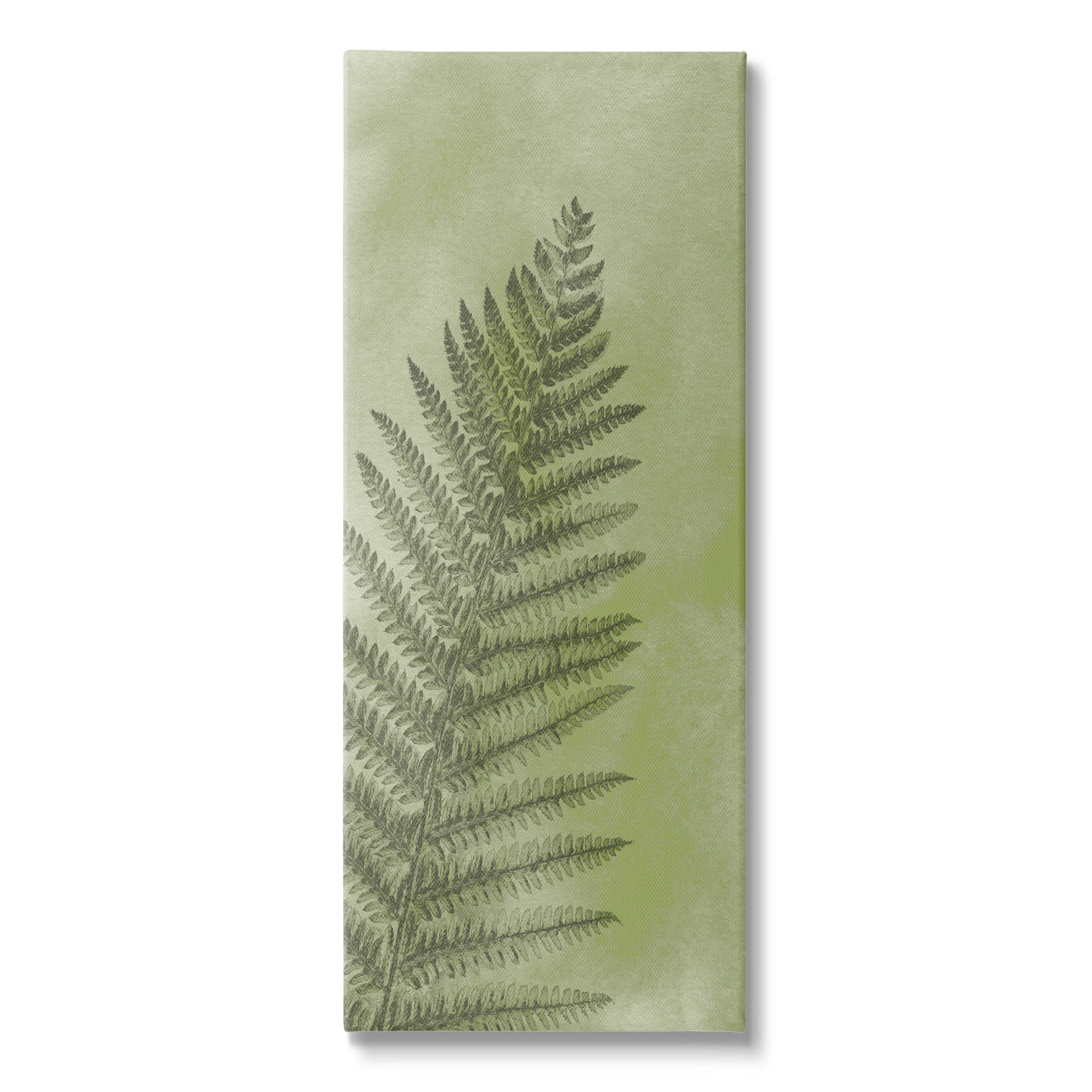 Intricate Fern Sprout Leaf Botanical & Floral Graphic Art Gallery Wrapped Canvas Print Wall Art