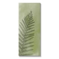 thumbnail image 1 of Intricate Fern Sprout Leaf Botanical & Floral Graphic Art Gallery Wrapped Canvas Print Wall Art, 1 of 7