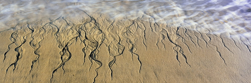 Intricate pattern created by surf on the beach Cerritos Beach Todos Santos Baja California Sur Mexico Canvas Art - Panoramic Images (36 x 12)
