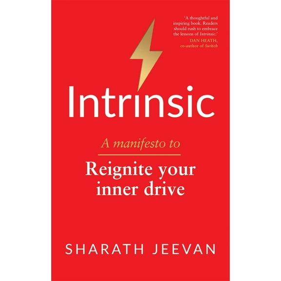 Intrinsic : A manifesto to reignite your inner drive (Paperback)