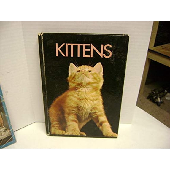 Pre-Owned Introducing Kittens (Hardcover) 0600348148 9780600348146