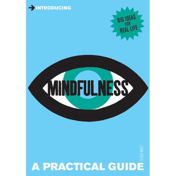 Pre-Owned Introducing Mindfulness: A Practical Guide (Paperback) 1848312555 9781848312555