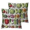 thumbnail image 1 of Introduction of Various Vegetables Print Throw Pillows Cover Pillow Case,Soft Couch Style Decor.Durable Reduces Allergies, 1 of 7