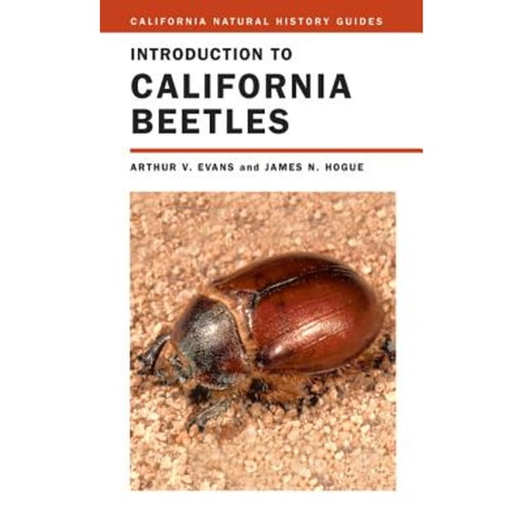 California Natural History Guides: Introduction to California Beetles (Series #78) (Edition 1) (Hardcover)