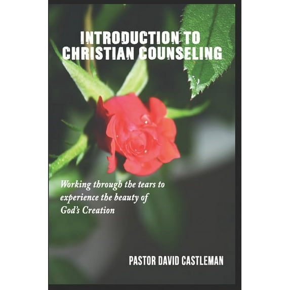 Introduction To Christian Counseling: Working through the tears to experience to beauty of God's creation, (Paperback)