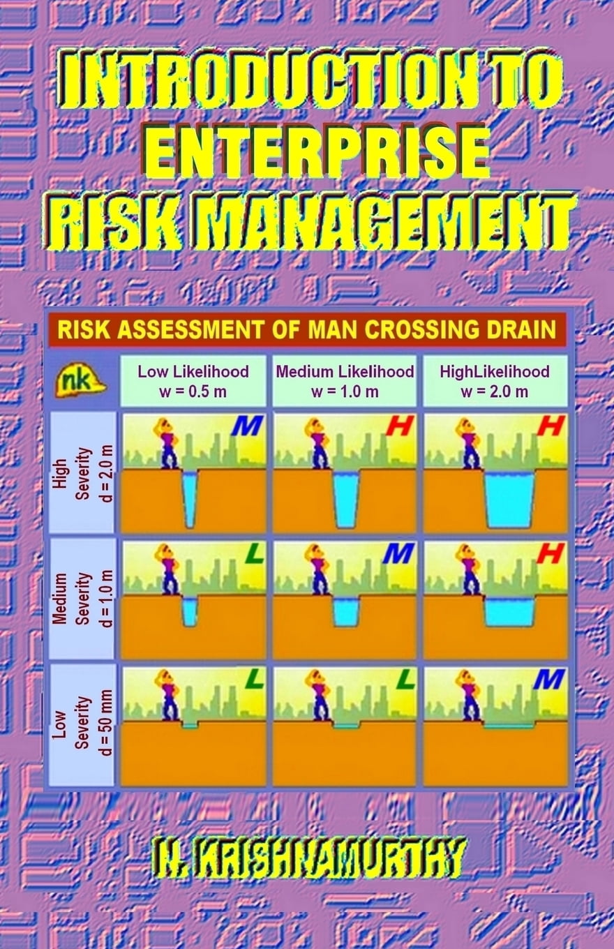 Introduction to Enterprise Risk Management: Fundamentals of Risk ...