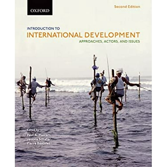 Pre-Owned Introduction to International Development : Approaches, Actors, and Issues 9780195440201