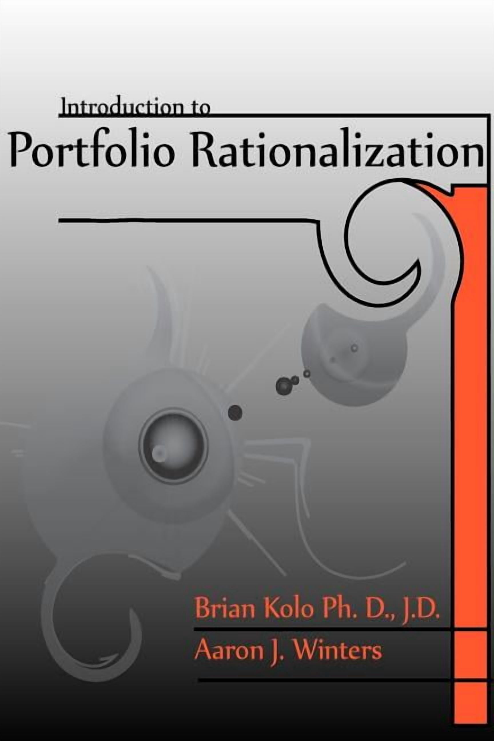 Portfolio Rationalisation Tool Introduction to Portfolio Rationalization - Walmart.com