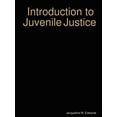 thumbnail image 1 of Introduction to The Juvenile Justice System, 1 of 1