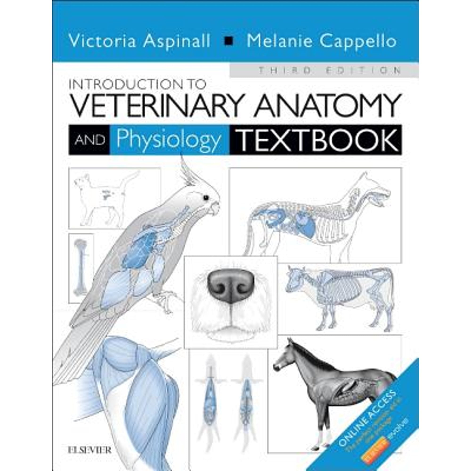 Pre-Owned Introduction to Veterinary Anatomy and Physiology Textbook, 9780702057359, 0702057355, Paperback, 3 edition